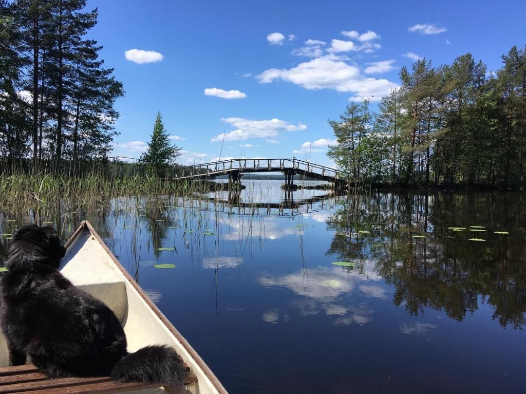 Виллы Pihlajaniemi Rautalampi